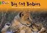 COLLINS BIG CAT - BIG CAT BABIES: BAND 05/GREEN (COLLINS BIG CAT)