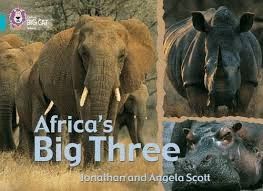 COLLINS BIG CAT - AFRICAS BIG THREE: BAND 07/TURQUOISE (COLLINS BIG CAT)