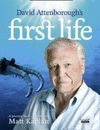 FIRST LIFE