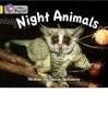 COLLINS BIG CAT - NIGHT ANIMALS: BAND 03/YELLOW (COLLINS BIG CAT)