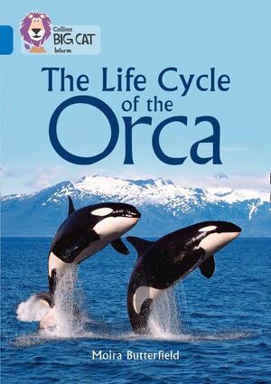 COLLINS BIG CAT - THE LIFE CYCLE OF THE ORCA : BAND 16/SAPPHIRE