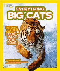 EVERYTHING BIG CATS