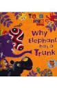 WHY ELEPHANT HAS A TRUNK