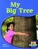 MY BIG TREE LEVELS 5/6