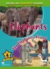 ELEPHANTS- THE ELEPHANT´S FRIEND- MCHR 4