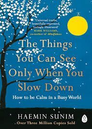 THINGS YOU CAN SEE ONLY WHEN YOU SLOW DOWN: HOW TO BE CALM IN A BUSY WORLD