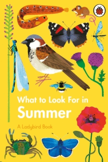 WHAT TO LOOK FOR IN SUMMER