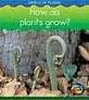 HOW DO PLANTS GROW?