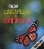 FROM CATERPILLAR TO BUTTERFLY