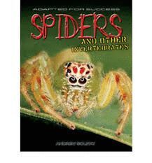 SPIDERS & OTHER INVERTEBRATES