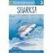 SHARKS!- PUFFYR 3