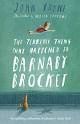 THE TERRIBLE THING THAT HAPPENED TO BARNABY BROCKET