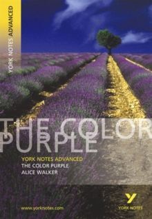 THE COLOR PURPLE: YORK NOTES ADVANCED