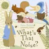 WHAT'S THAT NOISE? BOARD BK