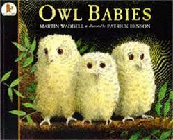 OWL BABIES BIG BOOK N/E - MP