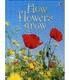 HOW FLOWERS GROW