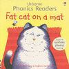 FAT CAT ON A MAT USBORNE PHONICS READERS
