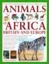 THE ILLUSTRATED ENC. OF ANIMALS AFRICA, BRITAIN & EUROPE