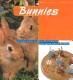 3-ANIMAL BABIES: BUNNIES