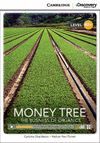 MONEY TREE+ONLINE- CAMBRIDGE DISCOVERY B2+