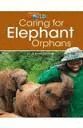 CARING FOR ELEPHANT ORPHANS- OW3
