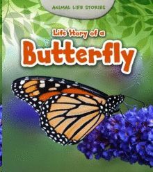 LIFE STORY OF A BUTTERFLY