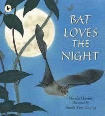 BAT LOVES THE NIGHT