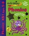 PHONICS GOLD STARS 5-6 WORKBOOK AND PRACTICE BOOK