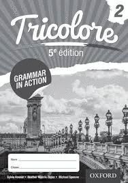 TRICOLORE 2 GRAMMAR IN ACTION WORKBOOK (5TH EDITION) (PACK 8)