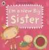 I'm a New Big Sister: A Princess Polly book: : Amanda Li:  9781409313731: Books