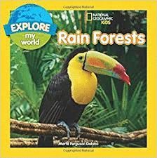 RAIN FORESTS