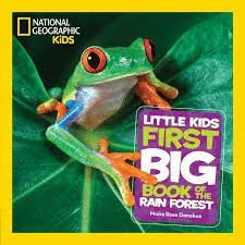 LITTLE KIDS FIRST BIG BOOK OF THE RAIN FOREST