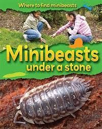 WHERE TO FIND MINIBEASTS UNDER A STONE