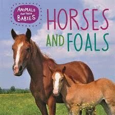 HORSES & FOALS