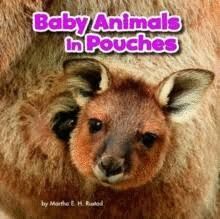 BABY ANIMALS IN POUCHES
