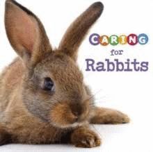 CARING FOR RABBITS
