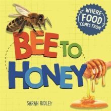 BEE TO HONEY - WHERE FOOD COMES FROM