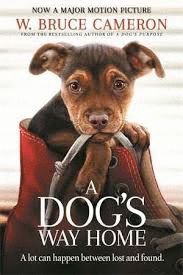 A DOGS WAY HOME FILM