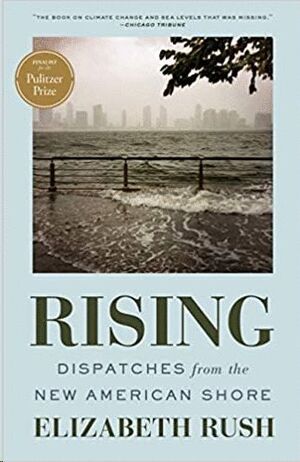 RISING: DISPATCHES FROM THE NEW AMERICAN SHORE