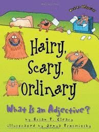 HAIRY, SCARY, ORDINARY : WHAT IS AN ADJECTIVE?