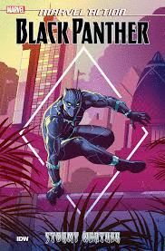 MARVEL ACTION : BLACK PANTHER: STORMY WEATHER
