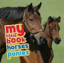 MY LITTLE BOOK OF HORSES AND PONIES