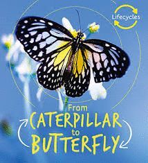FROM CATERPILLAR TO BUTTERFLY