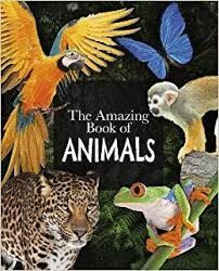 AMAZING BOOK OF ANIMALS