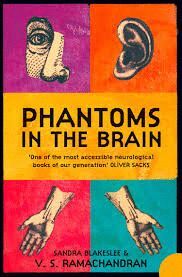 PHANTOMS IN THE BRAIN : HUMAN NATURE AND THE ARCHITECTURE OF THE MIND