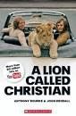 A LION CALLED CHRISTIAN SCHOLASTIC