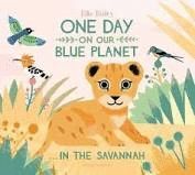 ONE DAY ON OUR BLUE PLANET: IN THE SAVANNAH