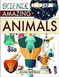 AMAZING ANIMALS