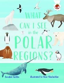 WHAT CAN I SEE IN THE POLAR REGIONS